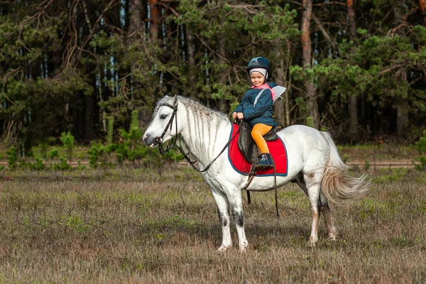 Little Girl White Pony Background Nature Jockey Hippodrome Horseback Riding — Stock Photo, Image