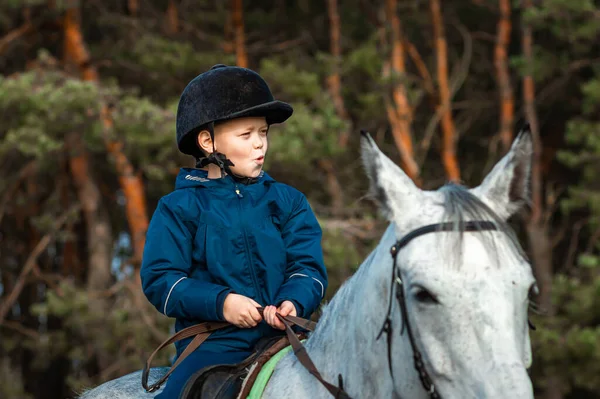 Little Boy Jockey Cap White Adult Horse Background Nature Jockey — Stock Photo, Image