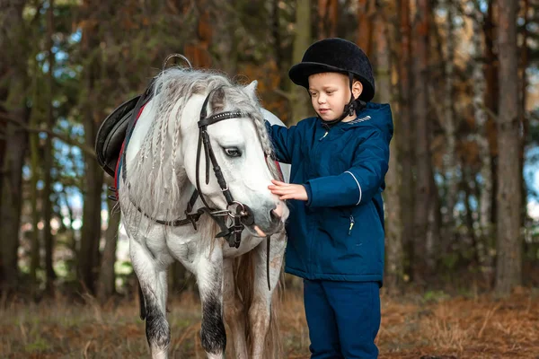 Boy Jockey Cap Portrait Stands Next White Pony Close Background — Stock Photo, Image