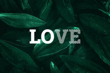 Beyaz yazı: aşk, yeşil doğal bir arka plan. Motivasyon, iş, kişisel gelişim kavramı