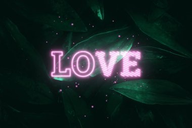 Neon pembe yazı: Aşk, yeşil doğal bir arka planda. Motivasyon, iş ve kişisel gelişim kavramı. 3B illüstrasyon, 3B canlandırma