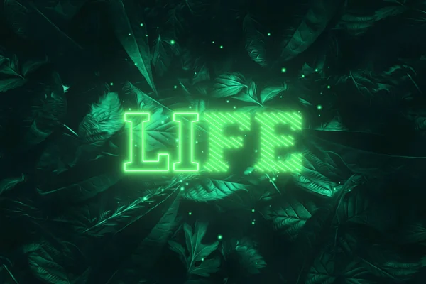 Neon Inscription Life Green Natural Background Konsep Untuk Memotivasi Latar — Stok Foto