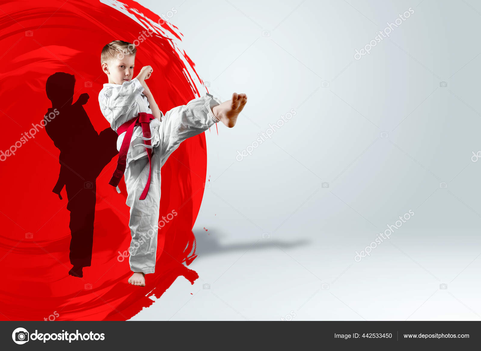 Boy White Kimono Red Belt Background Red Circle Sun Karate Stock Photo by  ©MarkoAliaksandr 442533450