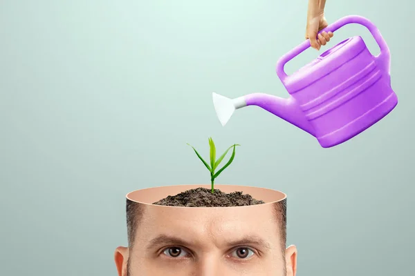 A fresh idea, a man\'s head is open hand watering the plant growing from the head. Creative background, brain, fantasy, creativity