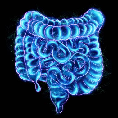 Siyah arka planda izole edilmiş bağırsak hologramı. Kabızlık konsepti, bağırsak bozukluğu, vücut taraması, dijital röntgen, karın organları.