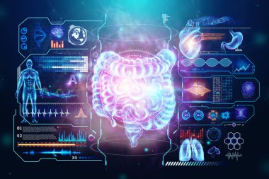 Bağırsak holografik projeksiyon taraması. Yaşam belirtileri ve tıbbi verilerle. Yeni teknolojiler kavramı, bağırsak bozukluğu, vücut taraması, dijital röntgen, karın organları. 3B illüstrasyon, 3B canlandırma