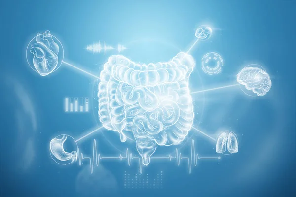 重要な兆候や医療データと腸ホログラフィック投影スキャン 新しい技術の概念 腸障害 ボディスキャン デジタルX線 腹部の臓器 3Dイラスト 3Dレンダリング — ストック写真