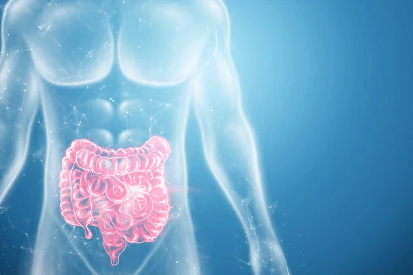 Projection Holographique Scan Intestinal Irritable Rouge Avec Données Médicales Concept — Photo