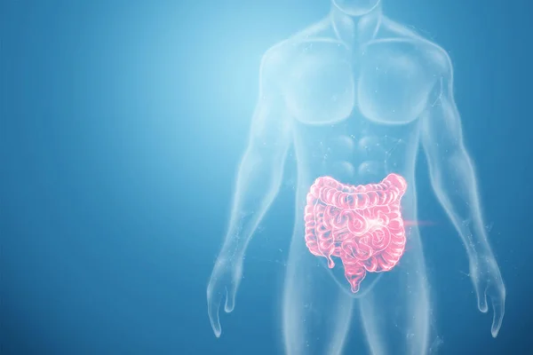 医療データと赤い過敏性腸スキャンのホログラフィック投影 腹部の痛みの概念 腸の問題 現代医学 — ストック写真