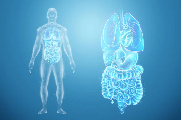 Proyección Holográfica Del Escaneo Órganos Internos Humanos Concepto Medicina Moderna —  Fotos de Stock