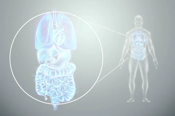 Nsan Organlarının Taranmasının Holografik Yansıması Modern Tıp Konsepti Dijital Röntgen — Stok fotoğraf