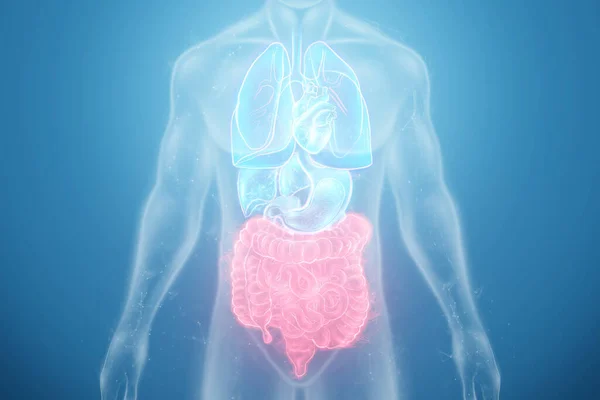 Uma Projeção Holográfica Uma Varredura Irritável Vermelha Intestino Com Dados — Fotografia de Stock