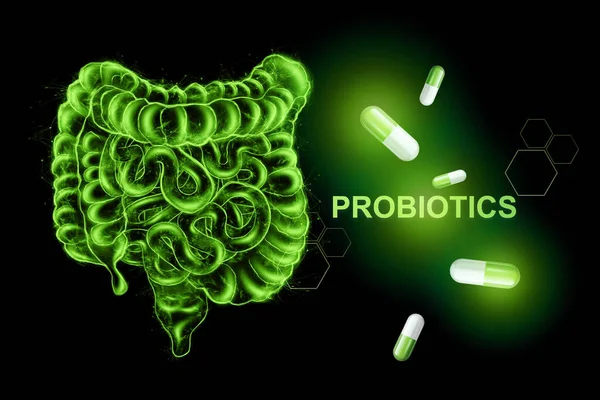 Imagen Intestinos Píldoras Probióticos Inscripción Concepto Dieta Microflora Intestinal Microorganismos — Foto de Stock