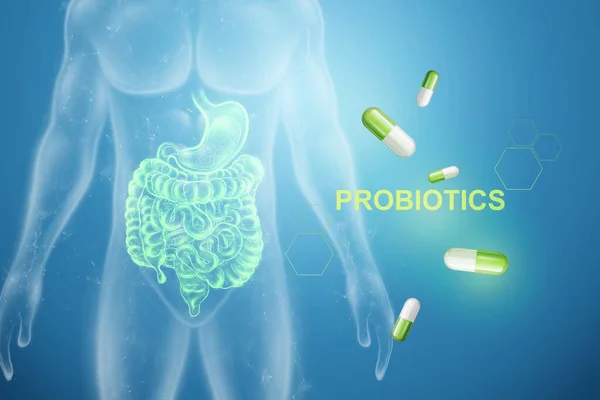 Image Des Intestins Des Pilules Inscription Probiotiques Concept Régime Alimentaire — Photo