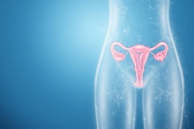 Rahmin kadın organının hologramı, rahim ve yumurtalık hastalıkları, adet sancısı. Tıbbi muayene, kadın konsültasyonu, jinekoloji. 3B illüstrasyon, 3B canlandırma
