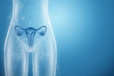 Mavi arka planda, kadın vücudunun rahim silüetinin kadın organının hologramı. Ultrason konsepti, jinekoloji, doğum, yumurtlama, hamilelik. 3B illüstrasyon, 3B canlandırma