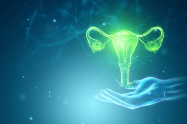 Mavi arka planda rahmin kadın organının hologramı. Ultrason konsepti, jinekoloji, doğum, yumurtlama, hamilelik. 3B illüstrasyon, 3B canlandırma