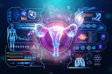 Rahmin kadın organının hologramında farklı tıbbi belirtiler var. Rahmin ultrasonu. Ultrason konsepti, jinekoloji, doğum, yumurtlama, hamilelik. 3B illüstrasyon, 3B canlandırma