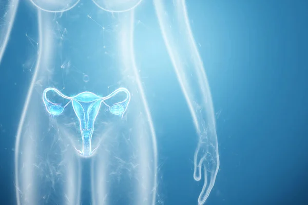 Hologram of the female organ of the uterus silhouette of the female body on a blue background. Ultrasound concept, gynecology, obstetrics, ovulation, pregnancy. 3D illustration, 3D render