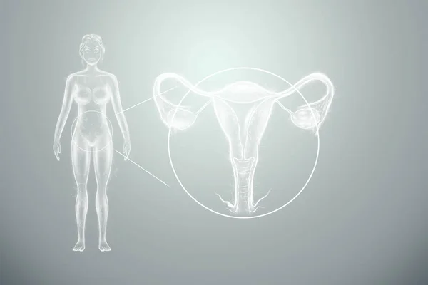 Hologram Female Organ Uterus Silhouette Female Body Blue Background Ultrasound — Stock Photo, Image