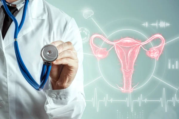 Doctor on the background of a hologram of the female organ of the uterus, diseases of the uterus and ovaries, menstrual pain. Medical examination, women\'s consultation, gynecology