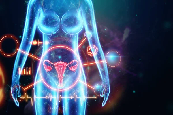 Hologram of the female organ of the uterus, diseases of the uterus and ovaries, menstrual pain. Medical examination, women's consultation, gynecology. 3D illustration, 3D render