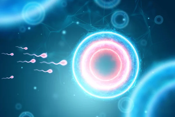 精子細胞による卵の受精 不妊治療 3Dイラスト 3Dレンダリング — ストック写真
