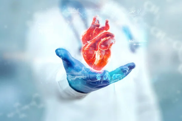 Doktor Podívá Hologram Srdce Zkontroluje Výsledky Testů Virtuálním Rozhraní Analyzuje — Stock fotografie