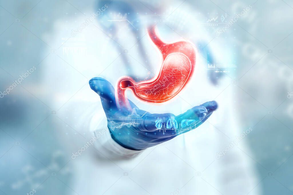 The doctor looks at the Stomach hologram, checks the test result on the virtual interface, and analyzes the data. Stomach disease, obesity, innovative technologies, medicine of the future