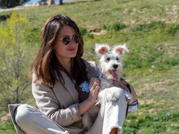 若い女性は岩の上にフィールドに座って 彼女の白いSchauzer子犬と一緒に写真のポーズ — ストック写真