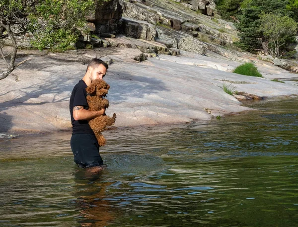 犬のトレーナーのクローズアップは 湖で泳ぐように彼を教えるために毛むくじゃらの子犬を保持 ブラウン子犬は湖で泳ぐことを学ぶ — ストック写真