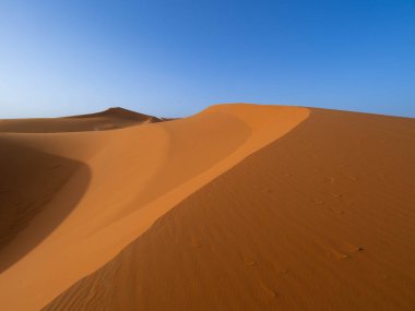 Sahra, Fas 'ın Erg Chebbi bölgesindeki uçsuz bucaksız mavi gökyüzünün altında pürüzsüz kıvrımlı rüzgar dalgaları olan el değmemiş turuncu kum tepelerinin minimalist görüntüsü..