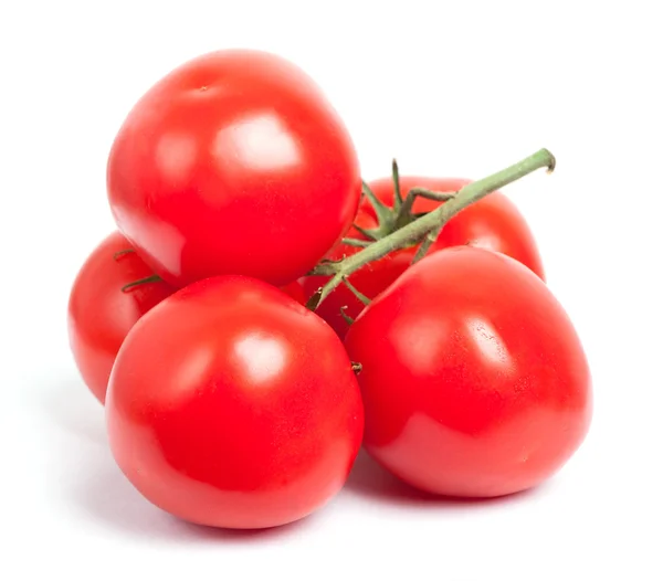 Branch of ripe tomatoes — Stock Photo, Image
