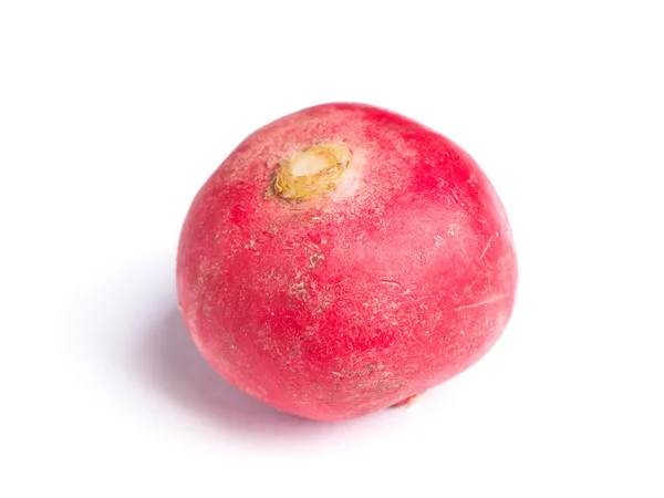 Small garden radish — Stock Photo, Image