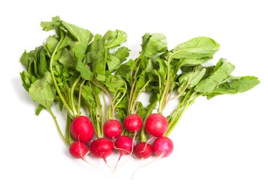 yeşil yaprakları ile taze turp