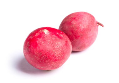 İki küçük Bahçe turp