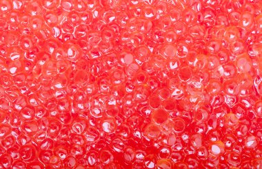 Kırmızı havyar incelik