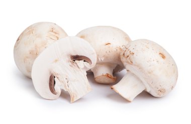 Champignon mantar yığın