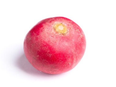 küçük Bahçe turp