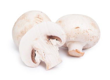 Champignon mantar yığın