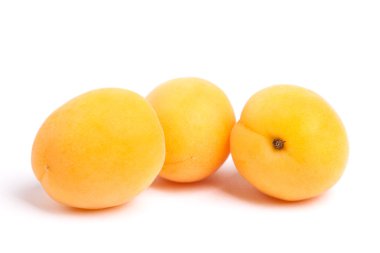 Parlak olgun kayısı