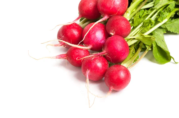Fresh radishes with green leaves — Stock Photo, Image