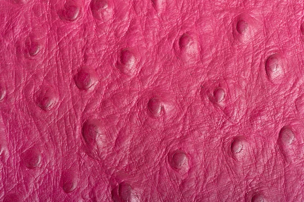 Textura em couro rosa — Fotografia de Stock