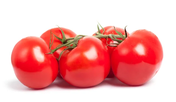 Branch of ripe tomatoes — Stock Photo, Image