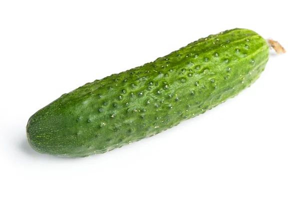 One green ripe cucumber Royalty Free Stock Images