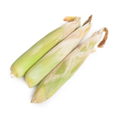 Olgun mısır koçanı