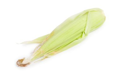 Olgun mısır mısır koçanı