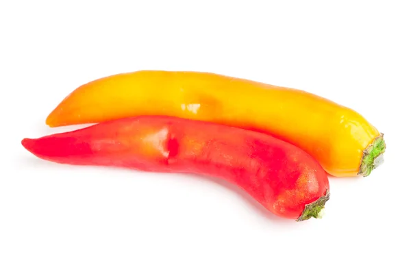 Chiles picantes coloridos — Foto de Stock
