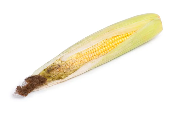 Kukurydziany kukurydzy z jądrami — Zdjęcie stockowe