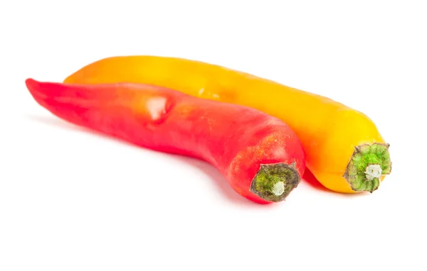 Colorful Hot chili peppers — Stock Photo, Image
